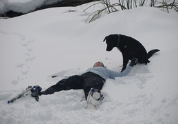 Dylan doesn't care for snow angels either